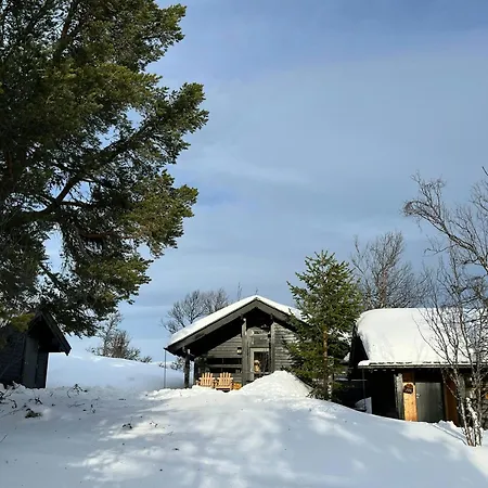 Ferienhaus Furuly At Sangefjell, Peace And Nature Ål