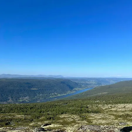 Furuly At Sangefjell, Peace And Nature