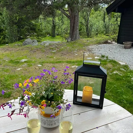 Furuly At Sangefjell, Peace And Nature