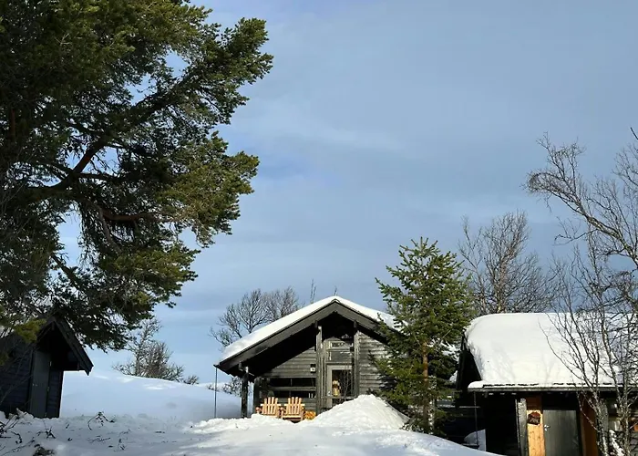 Furuly At Sangefjell, Peace And Nature Ål