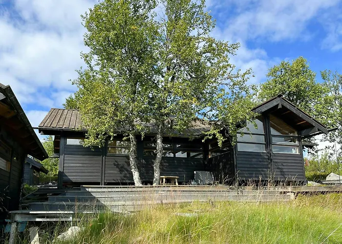 Furuly At Sangefjell, Peace And Nature *