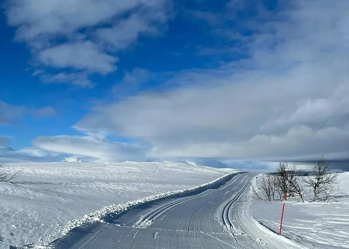 Nyaraló Furuly At Sangefjell, Peace And Nature *